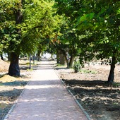 Small sochaczew park