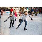 Small ice skating 235547  340