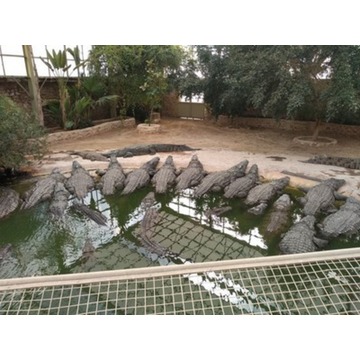 Farma Krokodyli - Explore Park Djerba