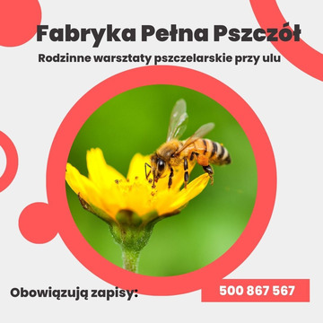 Fabryka Pełna Pszczół - warsztaty pszczelarskie dla dzieci Dąbrowa Górnicza