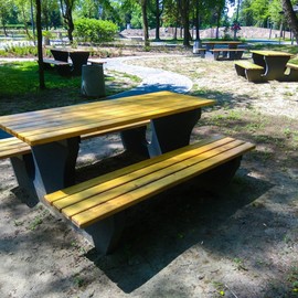 Ogród jordanowski w Kazimierzu Górniczym w Sosnowiecu zdjęcie 19