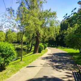 Park miejski im. Jacka Kuronia w Sosnowcu zdjęcie 13