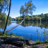 Park miejski im. Jacka Kuronia w Sosnowcu