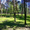 Mini Zoo w parku J. Kuronia w Sosnowcu