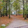 Park Stefana Żeromskiego w Szczecinie