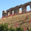  Ruiny zamku Książąt Mazowieckich w Sochaczewie 