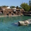 Ogród Zoologiczny w Opolu zdjęcie 1