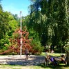 Plac zabaw Park Zachodni Wrocław