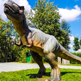 Park Dinozaurów Siemianowice Rzęsa zdjęcie 6