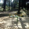 Plac zabaw w Parku Leśnym w Myszkowie