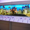 Muzeum Rybołówstwa Morskiego w Świnoujściu