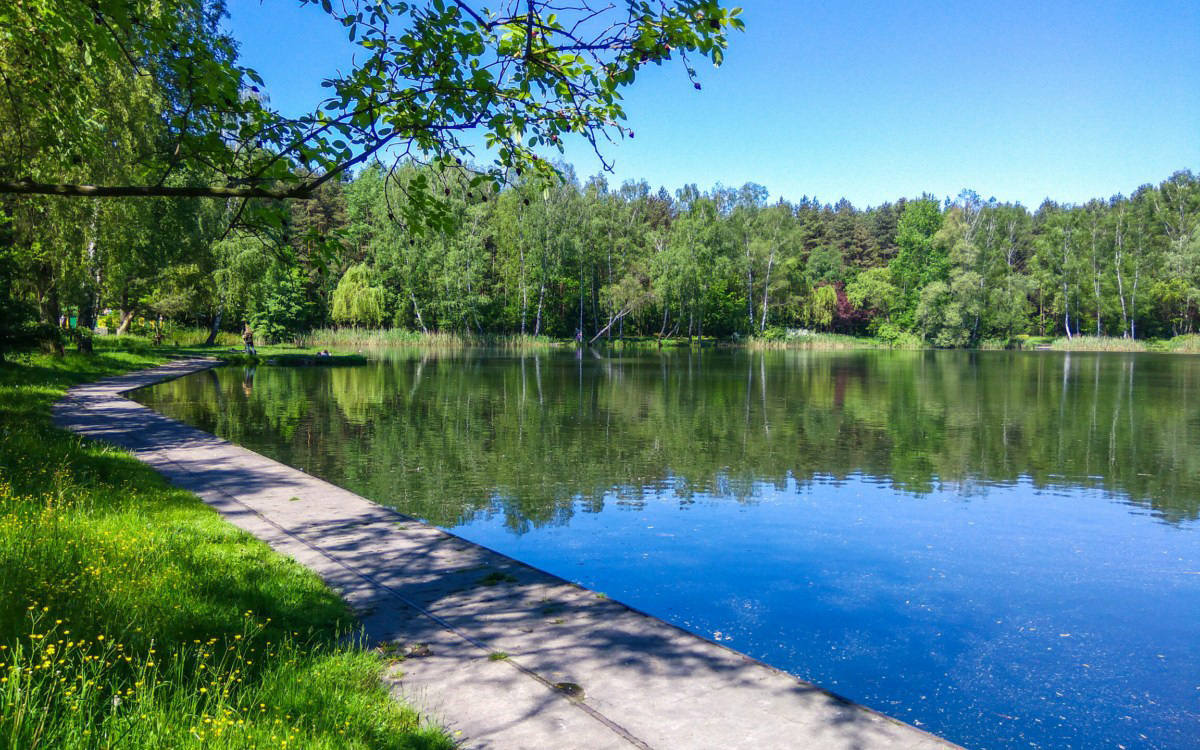 park Jacka Kuronia Sosnowiec
