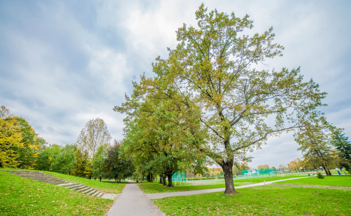 Park Krowoderski w Krakowie