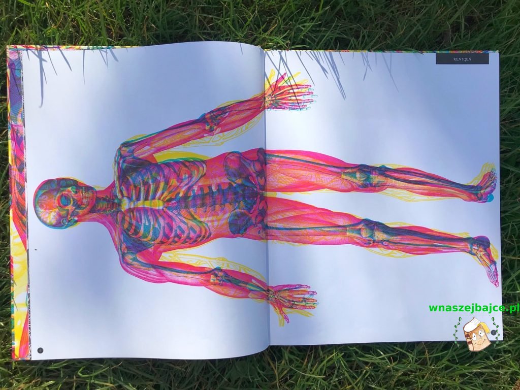 książka dla dzieci o anatomii